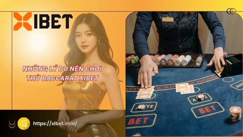 Những lý do nên chơi Baccarat XIBET Những lý do nên chơi Baccarat XIBET