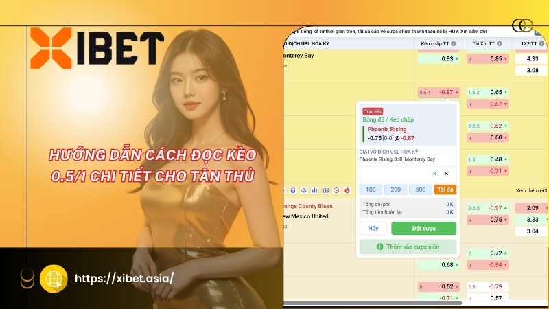Hướng dẫn cách đọc kèo 0.5/1 chi tiết cho tân thủ Hướng dẫn cách đọc kèo 0.5/1 chi tiết cho tân thủ