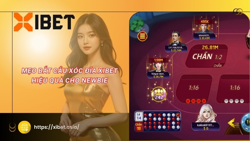 Mẹo chơi xóc đĩa XIBET hiệu quả cho newbie Mẹo chơi xóc đĩa XIBET hiệu quả cho newbie